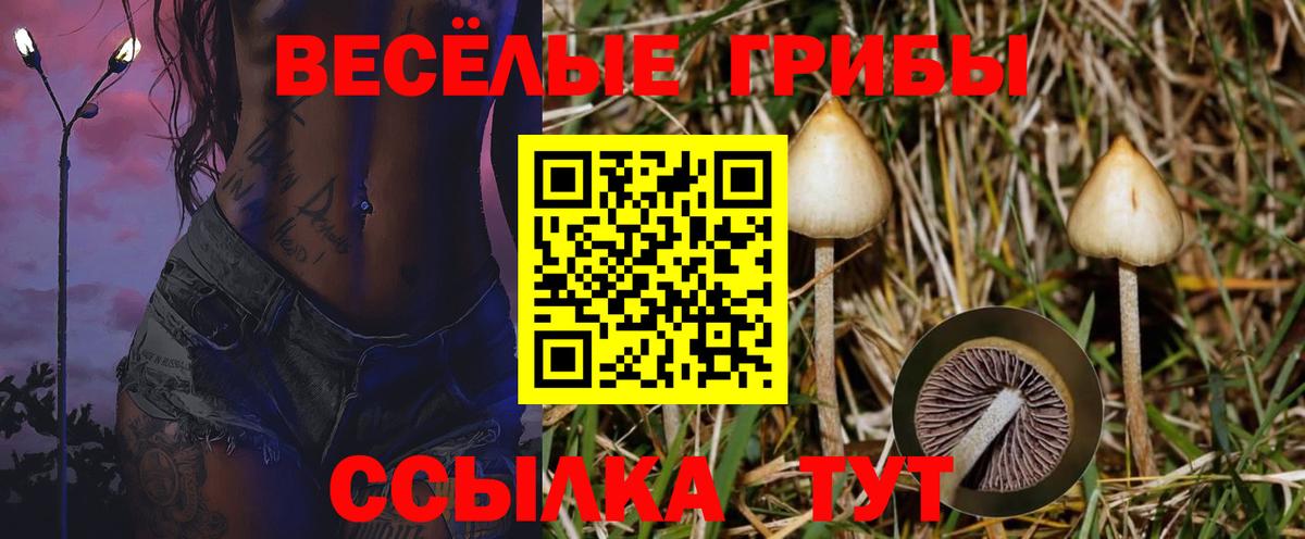 Галлюциногенные грибы Psilocybine cubensis  Вход с VPN  как найти наркотики  Амурск 