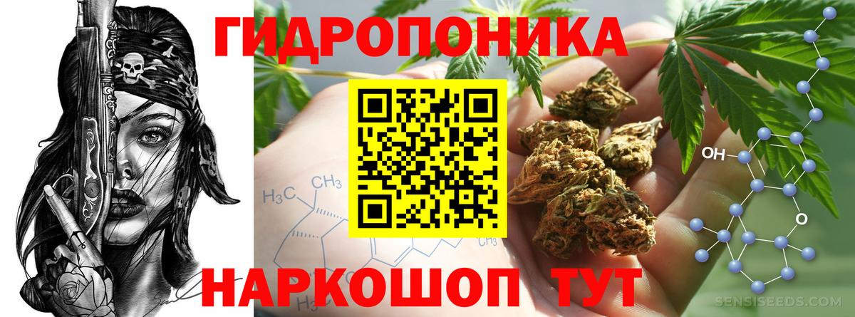 Шишки марихуана семена  Вход с VPN  Амурск  Канабис семена  Бошки марихуана семена 